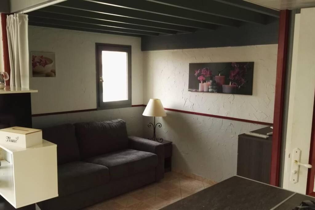 Studio Mezzanine En Residence Avec Piscine Au Village 르발카레스 외부 사진